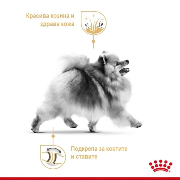 Royal Canin Pomeranian Adult Pouch - Пауч за кучета от порода померан